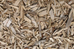 biomass boilers Baddidarach